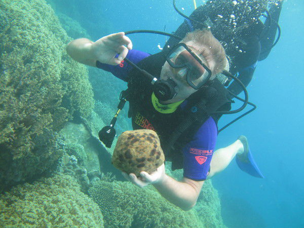 Володя Разноглядов