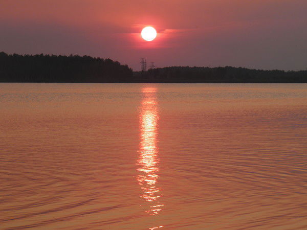 Света Шнуренко