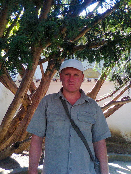 Николай Никитенко