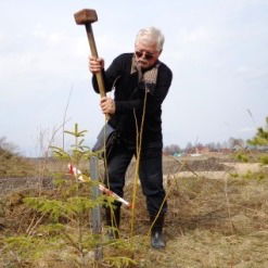 Владимир Галанин