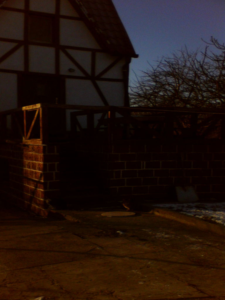 Ирина Старкова