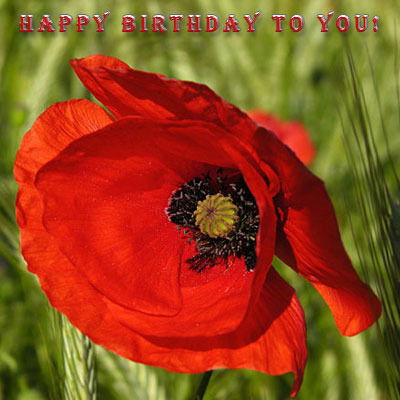 Ольга Михайловна Макова