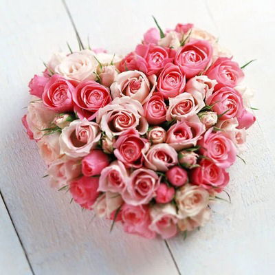 Оксана Балкизова