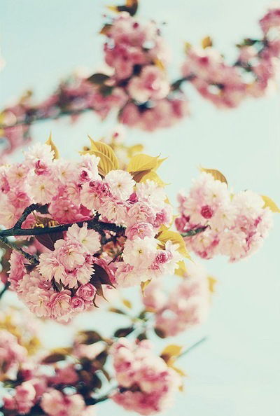 Ольга Наумова