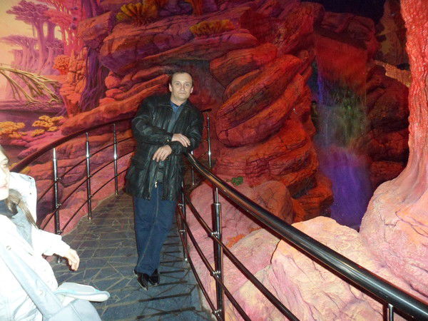 Михаил Митрохин