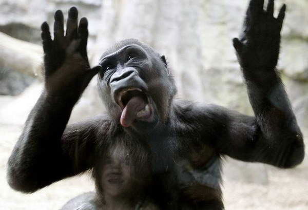 Марат Саляхов