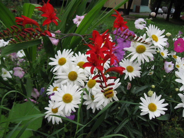 Тамара Абрамова