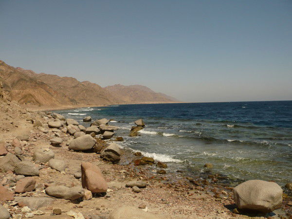 Светлана Лесукова