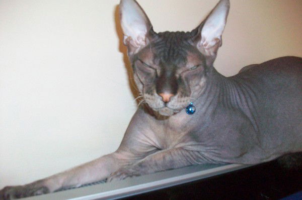 Марина Жукова