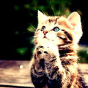Kristink@ ^_^ De Franse