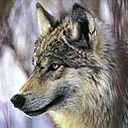 Иван Иванов