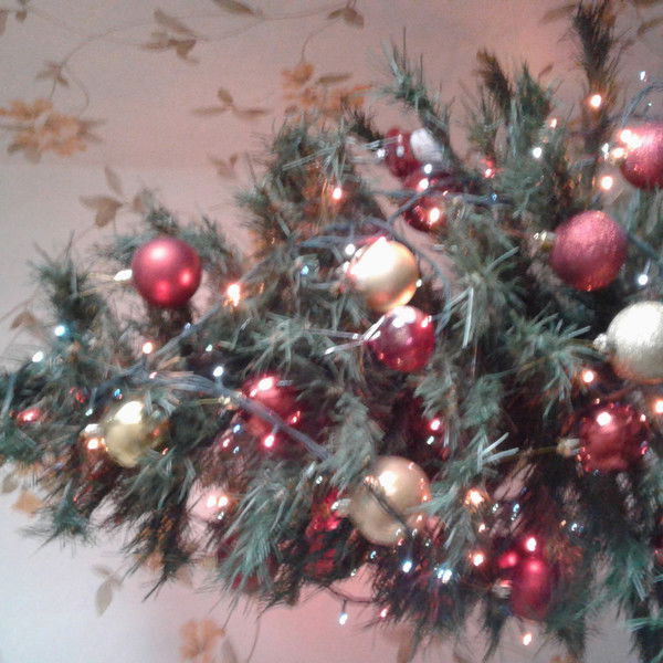 Анна Сластенова