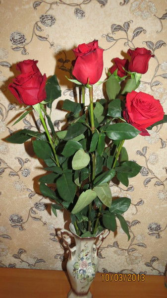 Айгуль Капитонова