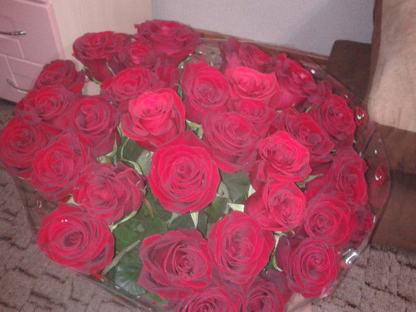 Юлия Стукалова