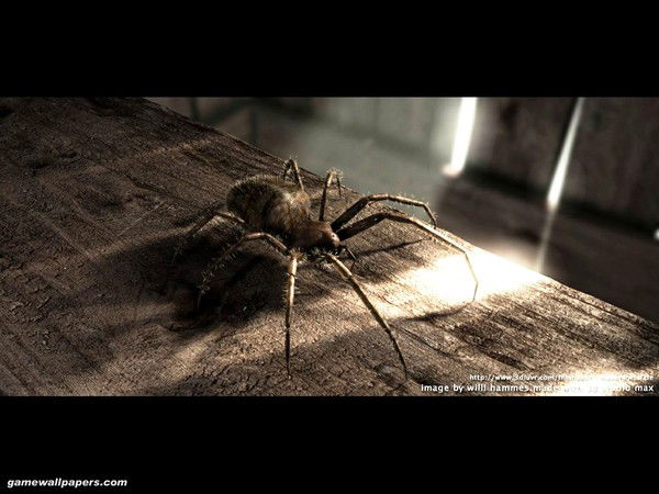 Яна Кашавкина