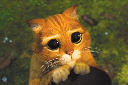 Александр Степичев