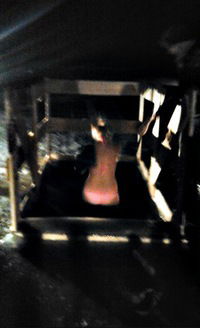 Анастасия Коновалова