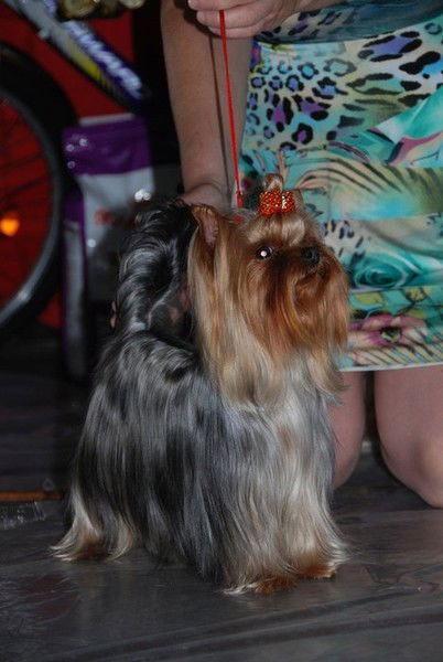 Елена Кусова