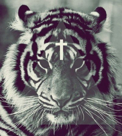 Дима Акулич