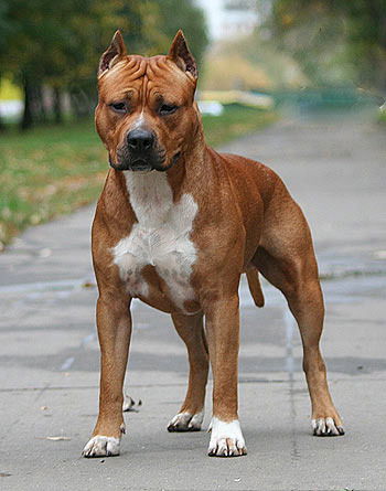 Татьяна Ташлинская