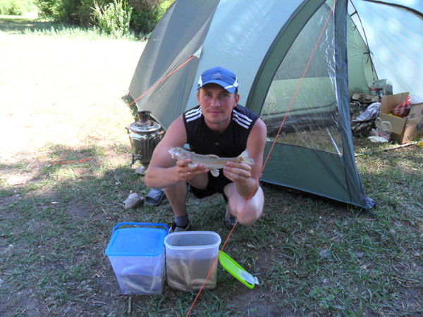 Вячеслав Науменко