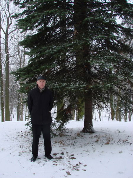 Анатолий Черёмушкин