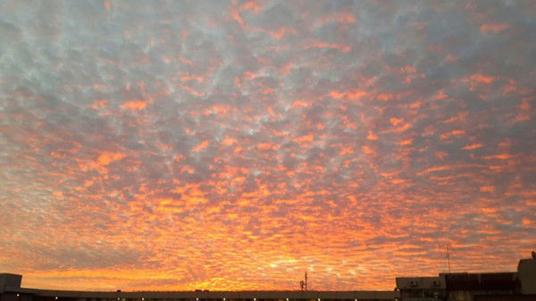 Илья Муромов