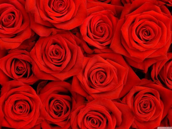 Саида Махамбетова