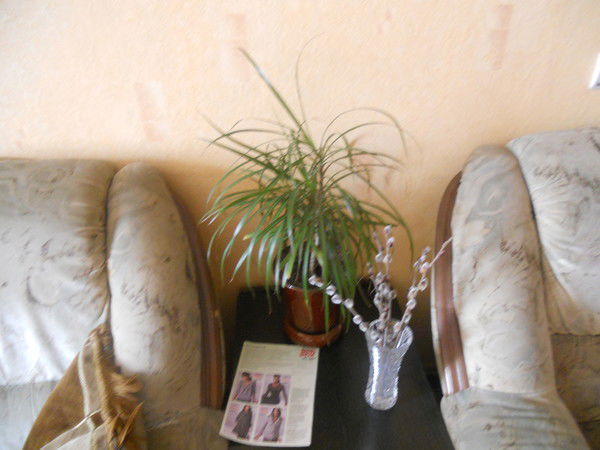 Татьяна Николаева