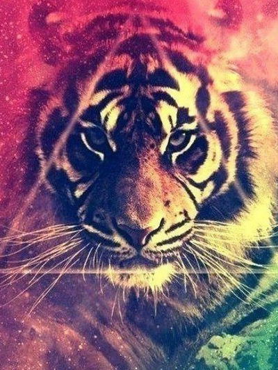 Алина Гирагосян