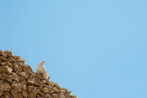 Наталия Грозная