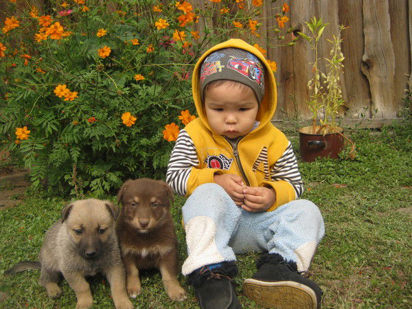 Динмухамед Султанов