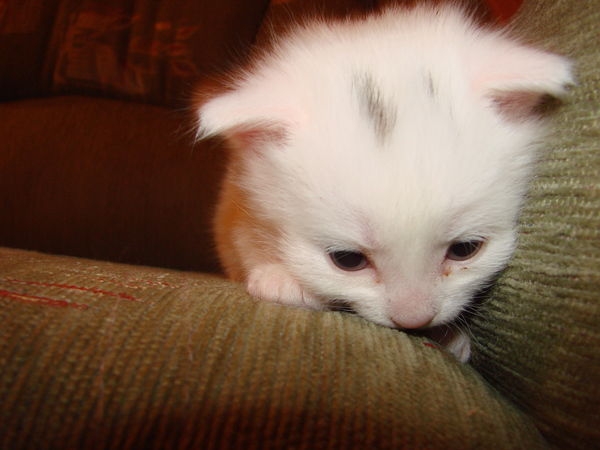 Ильшат Хусаинов