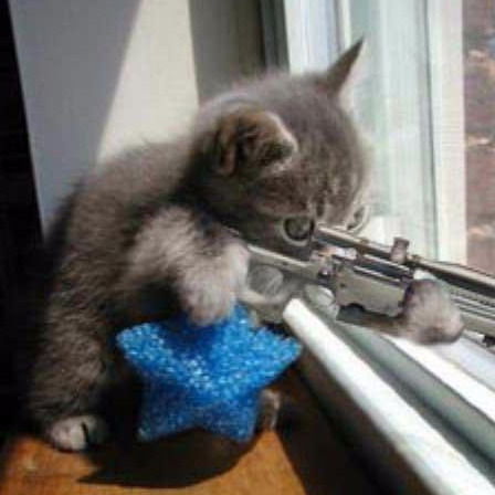 Рая Шинкарева