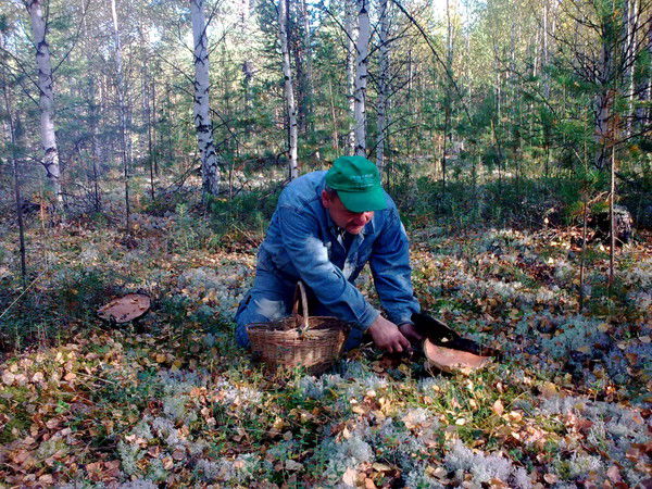 Вячеслав Лищенко