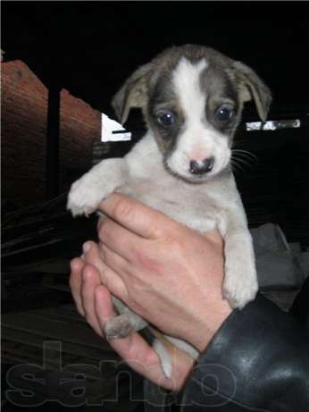 Настя Репина