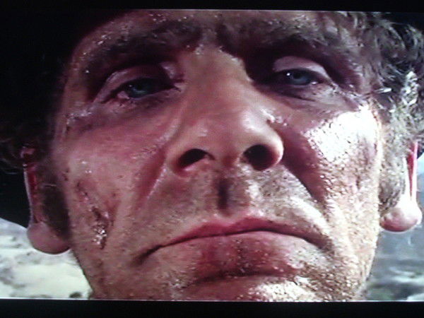 Тимур Макоев