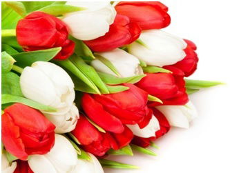 Салтанат Тойганбаева