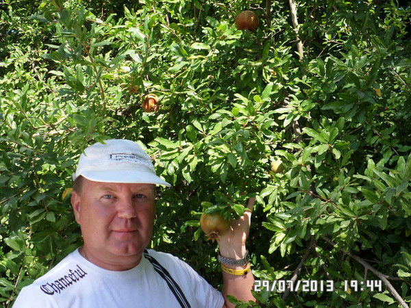 Андрей Шемелин