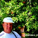 Андрей Шемелин