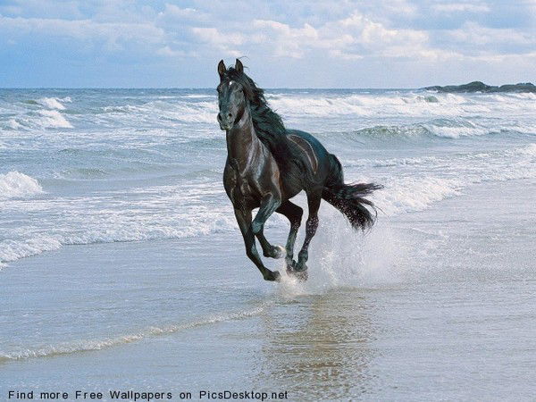 Жанат Кулалинова