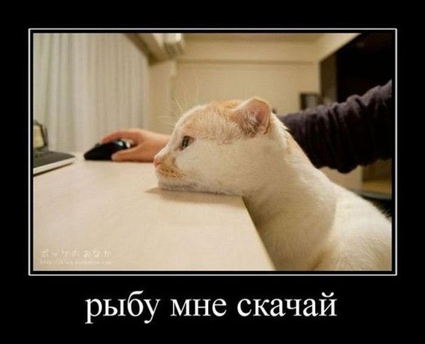 Ольга Логинова