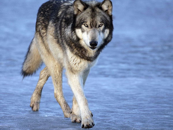 Сергей Хавкунов