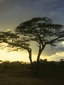 Юлия Михайлова