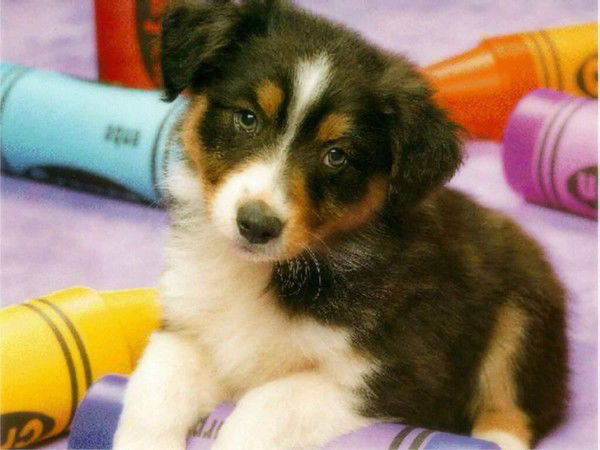 Эдуард Тимирбаев