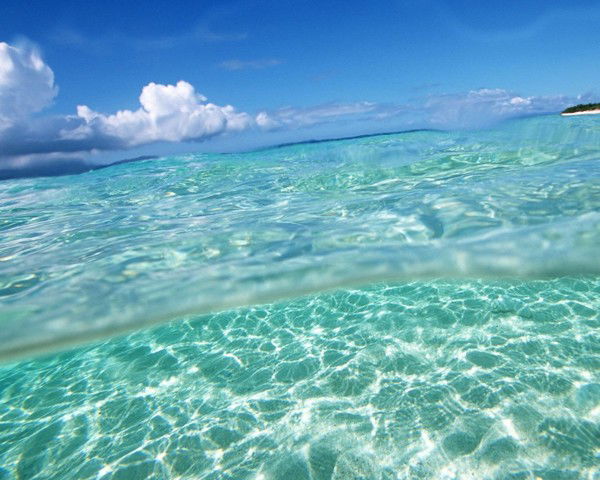 Людмила Зимина