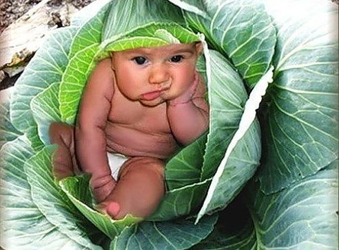 Алексей Березин