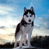 Ольга Федорова