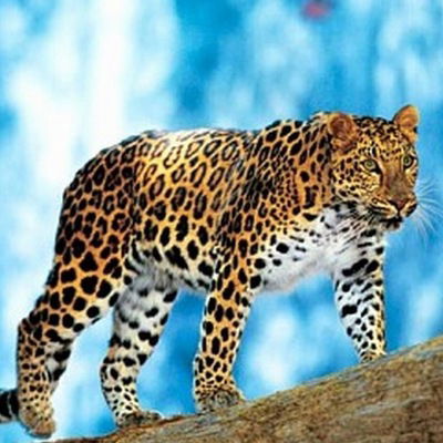 Полина Ишимова