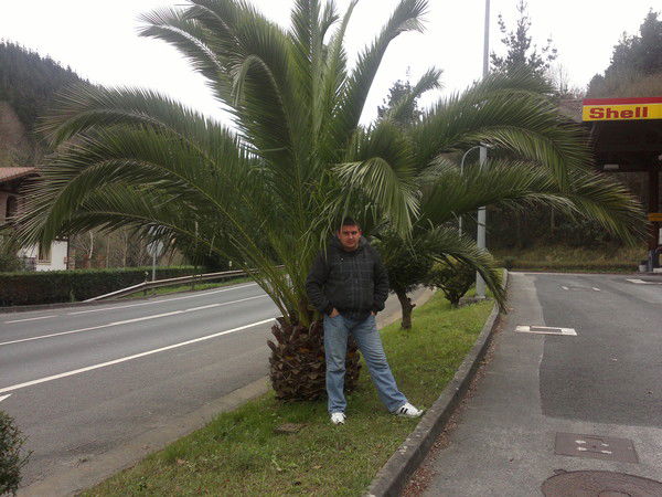 Илья Дорожан